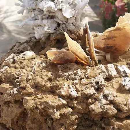 Apartahotel Sunset 3*