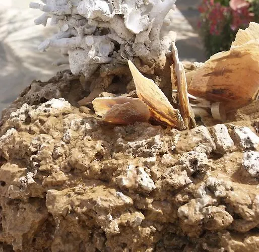 Apart-hotel Sunset 3*